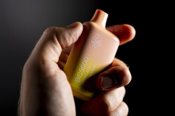 Elf Bars: Navigating Popularity and Regulatory Challenges in the Vaping World