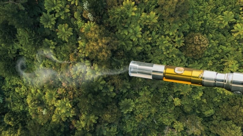 Exploring Sustainable Alternatives to Disposable Vapes